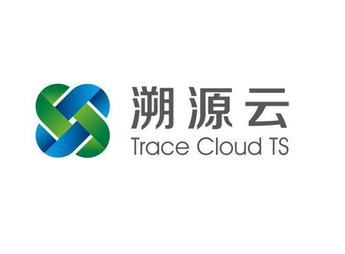 深度解析 北京溯源云為信息咨詢服務注入新動能