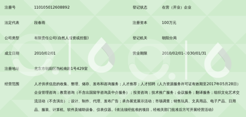 北京臻諾咨詢 專注本地化信息服務的專業伙伴
